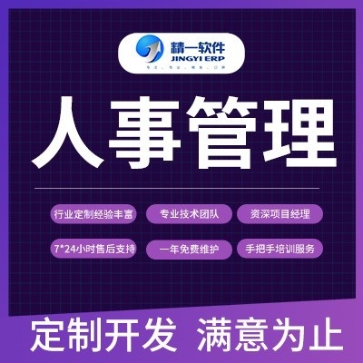 計(jì)算機(jī)軟件開(kāi)發(fā)與咨詢 創(chuàng)新與賦能的雙引擎